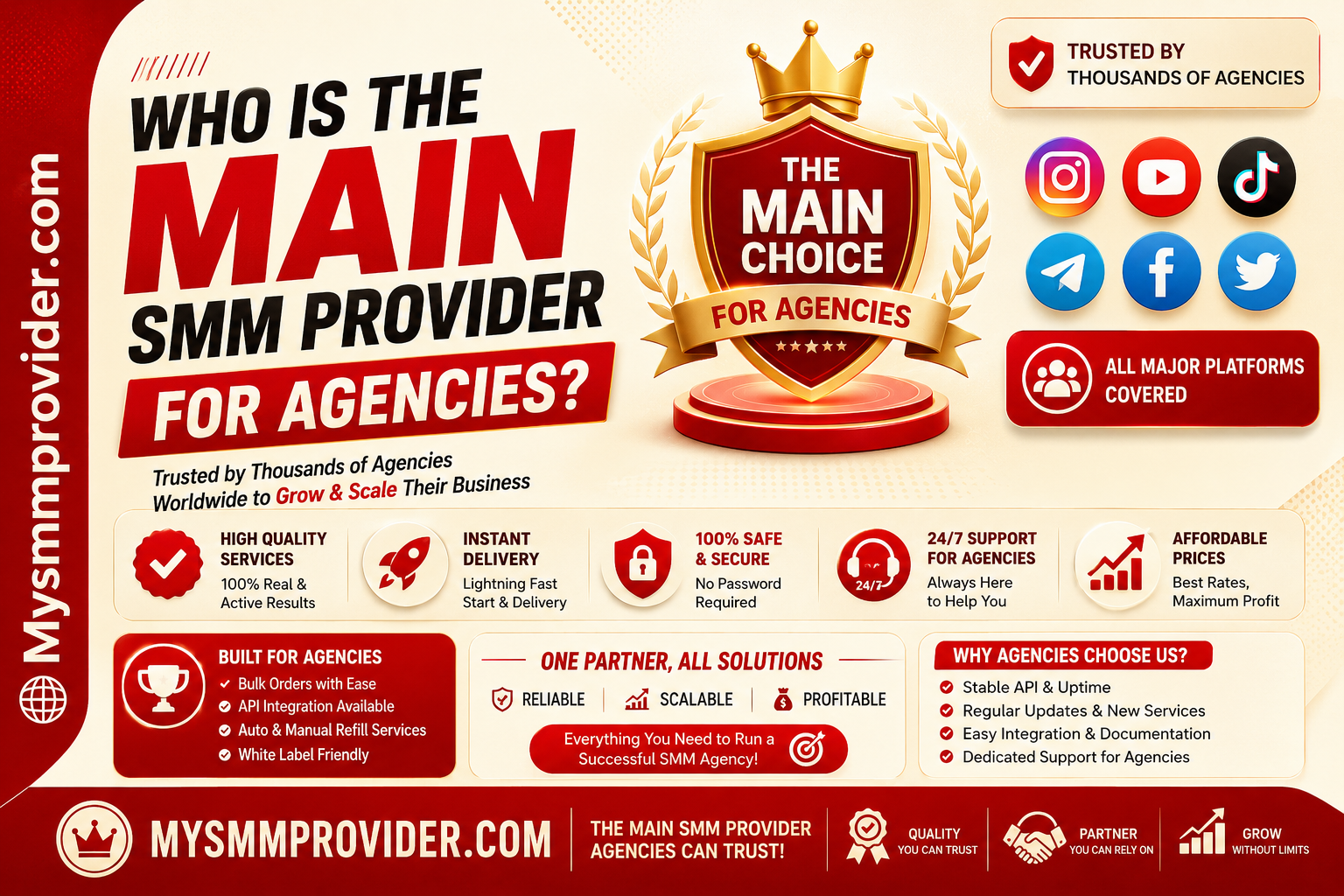 Who is the main SMM provider for agencies?